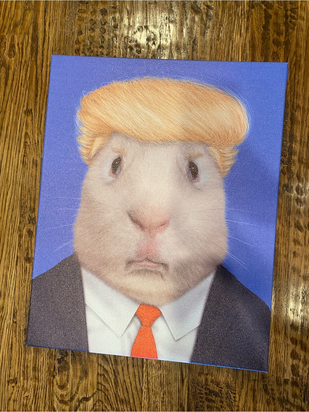 Pets Rock Trump Canvas Wall Art